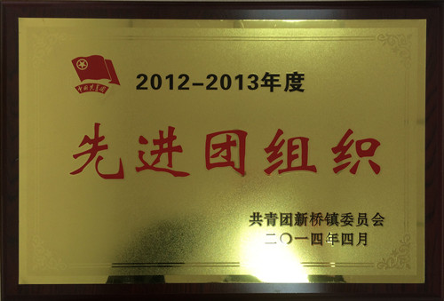 先進(jìn)團(tuán)組織